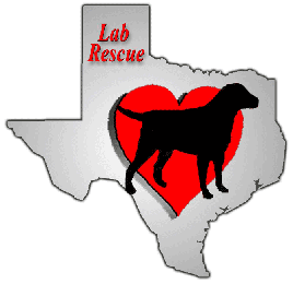 Heart of Texas Lab Rescue